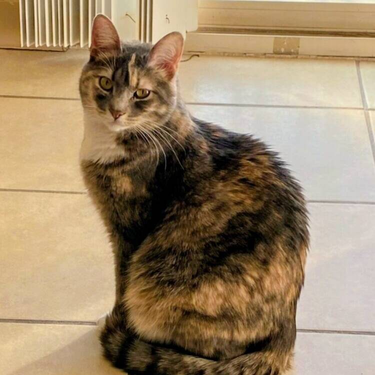 Foto de perfil de Maria