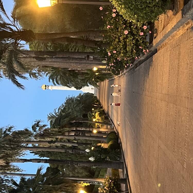 Foto de perfil de María