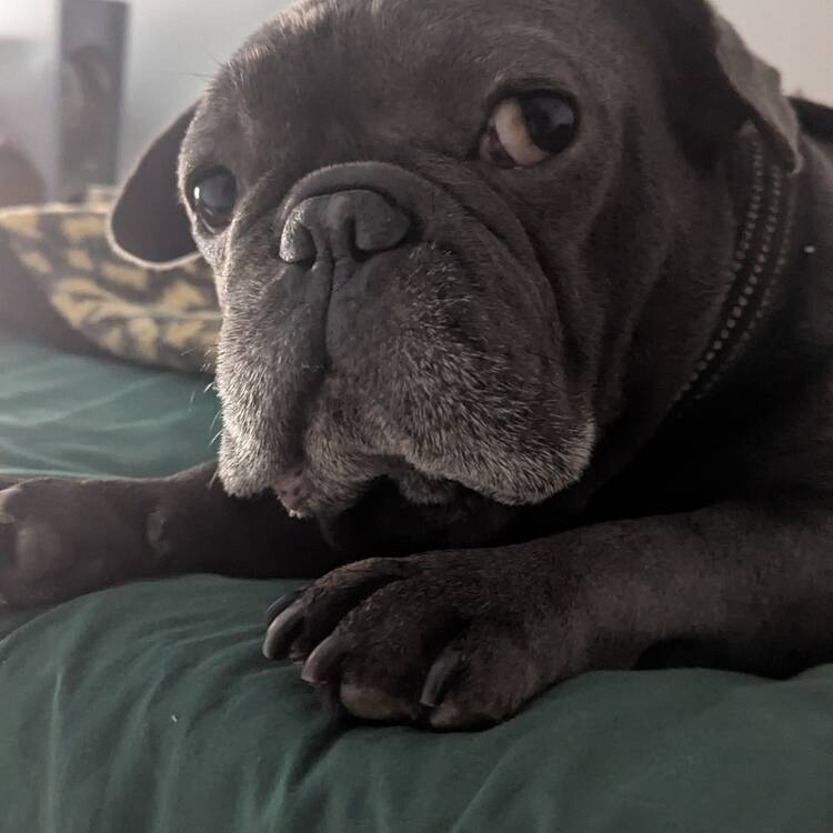 Foto de perfil