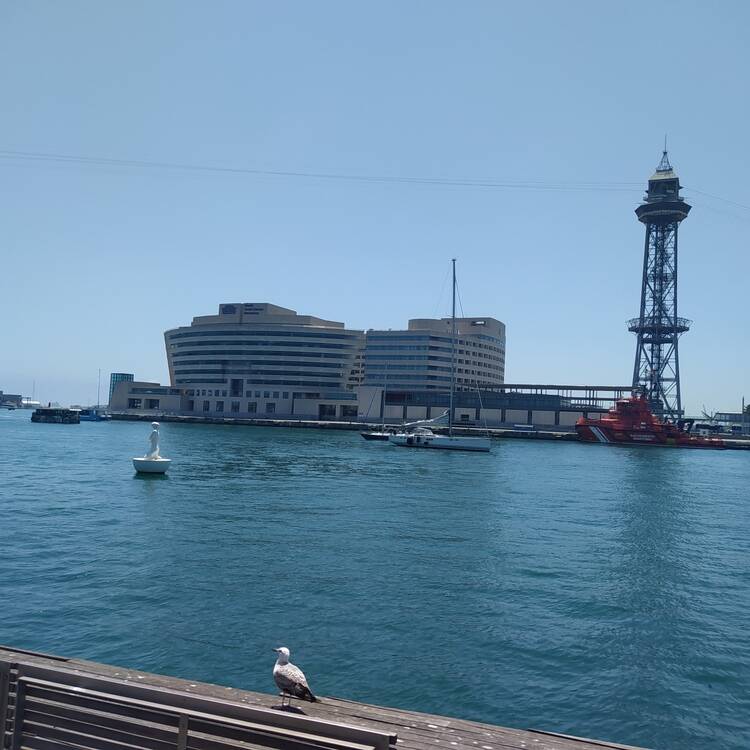 Foto de perfil de Markos