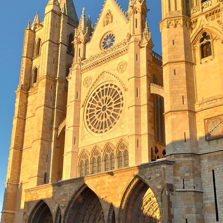 Foto de perfil de Monica