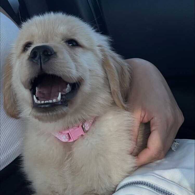 Foto de perfil de Valentin