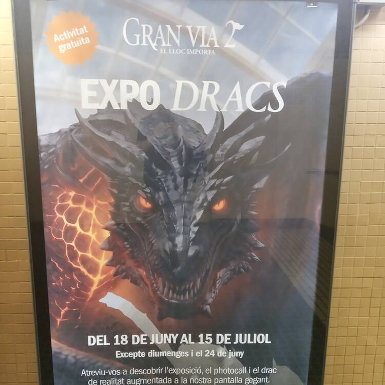 Foto de perfil de César