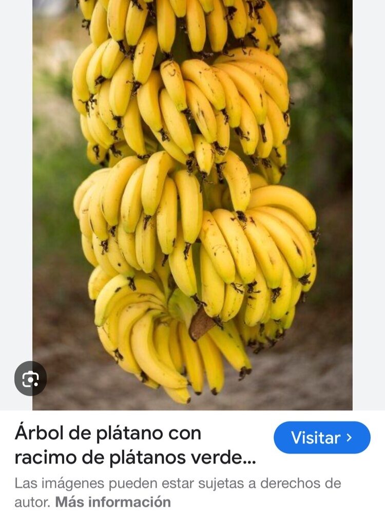 Foto de perfil de Glory
