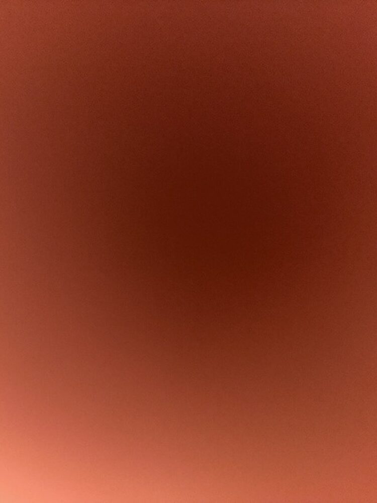 Foto de perfil de Fran