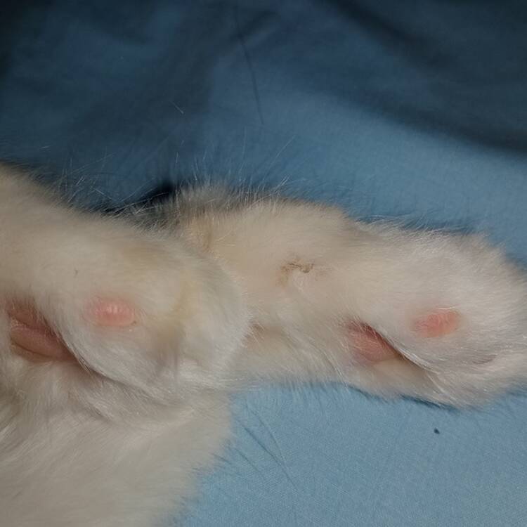 Foto de perfil de Andrea