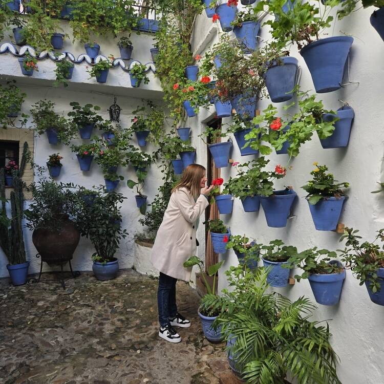 Foto de perfil de Rebeca