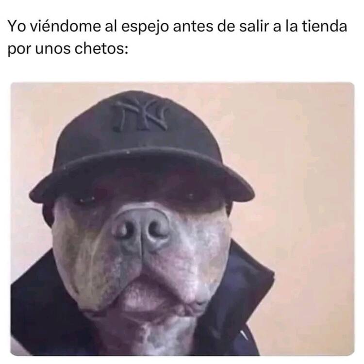 Foto de perfil de Mario