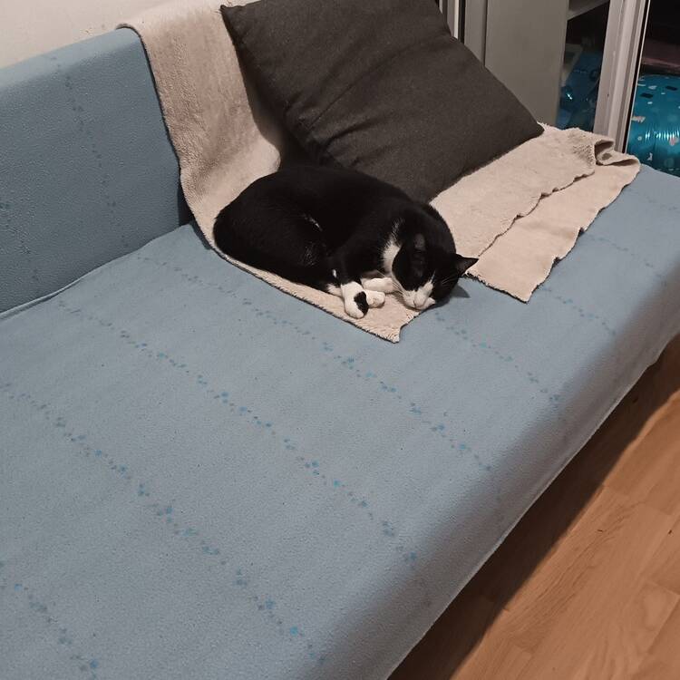 Foto de perfil de Jesica