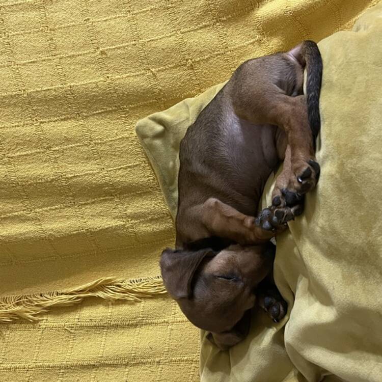 Foto de perfil