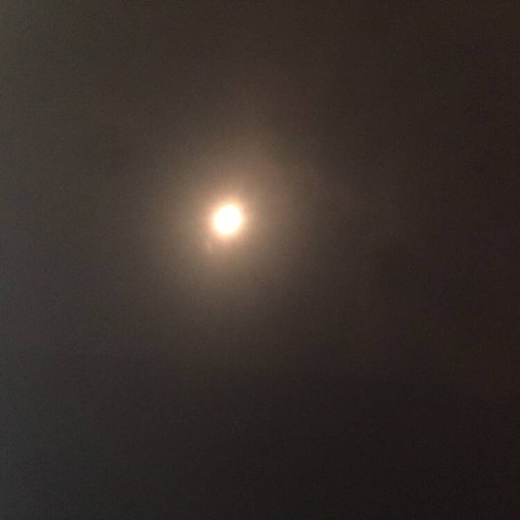 Foto de perfil de Jorge