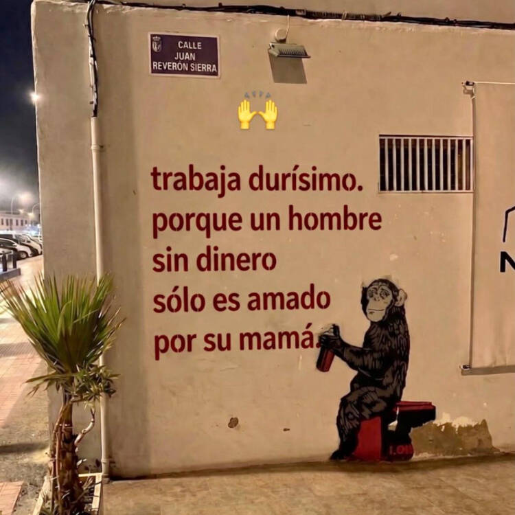 Foto de perfil de Bruno