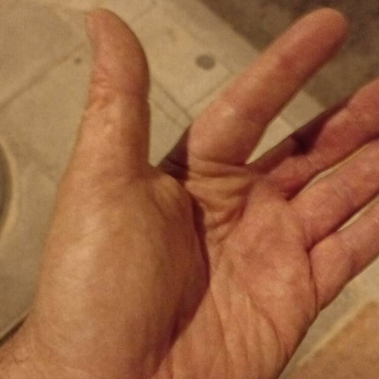 Foto de perfil de Jose