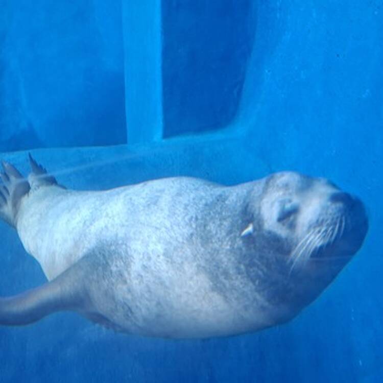 Foto de perfil de Pablo