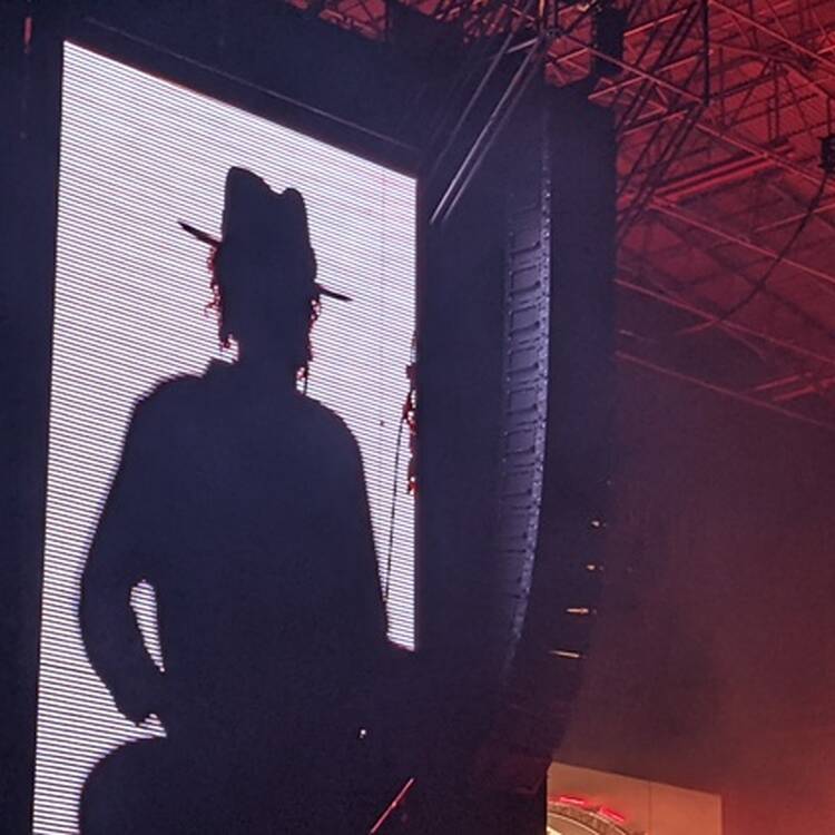 Foto de perfil de Xavier