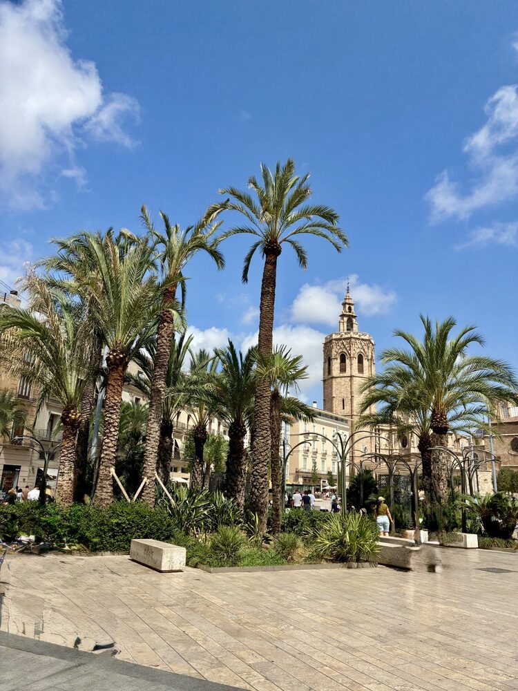 Foto de perfil de Israel