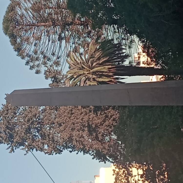 Foto de perfil de Marcos