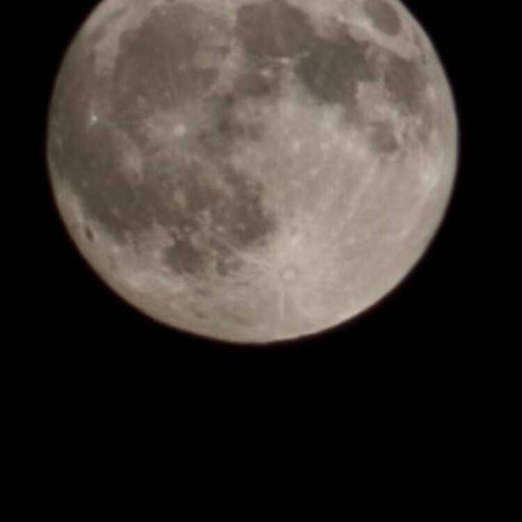Foto de perfil de Nuchi