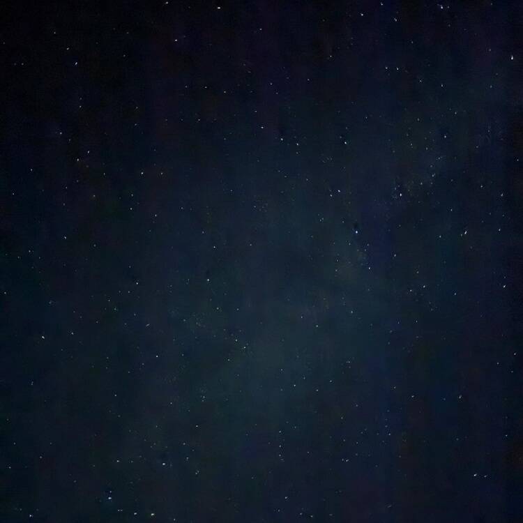 Foto de perfil de Natalia