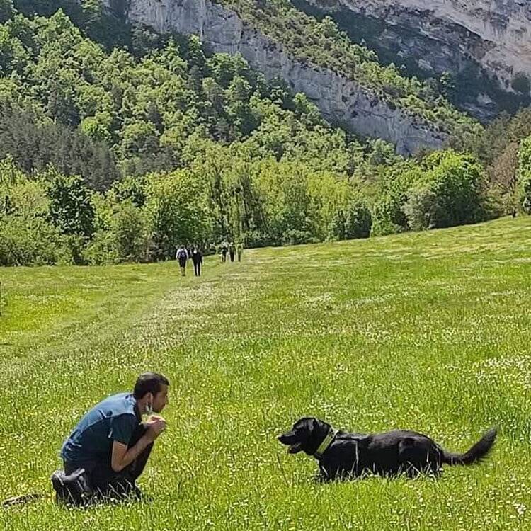 Foto de perfil de Fran