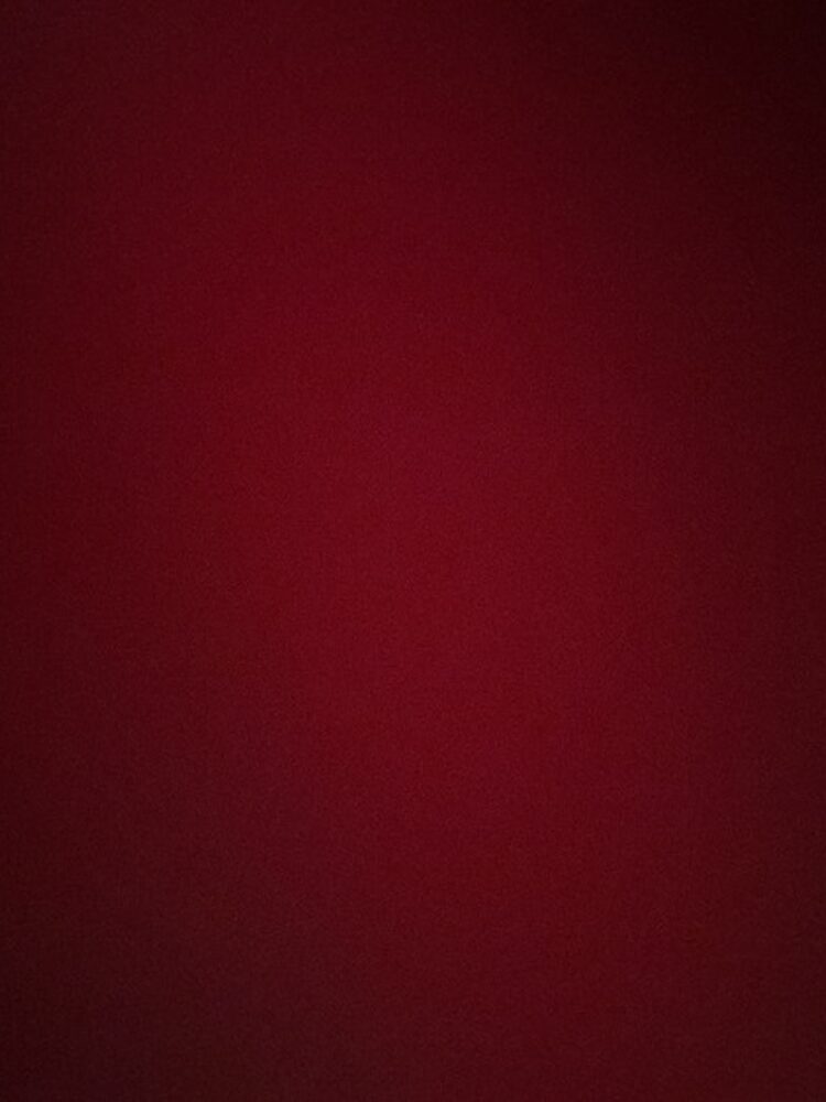 Foto de perfil de Daniel