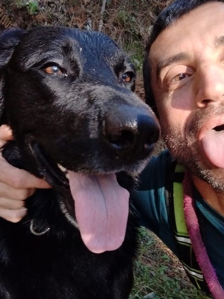 Foto de perfil de Francisco José