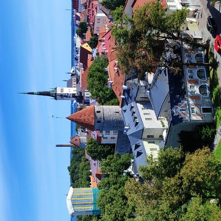Foto de perfil de Pilar
