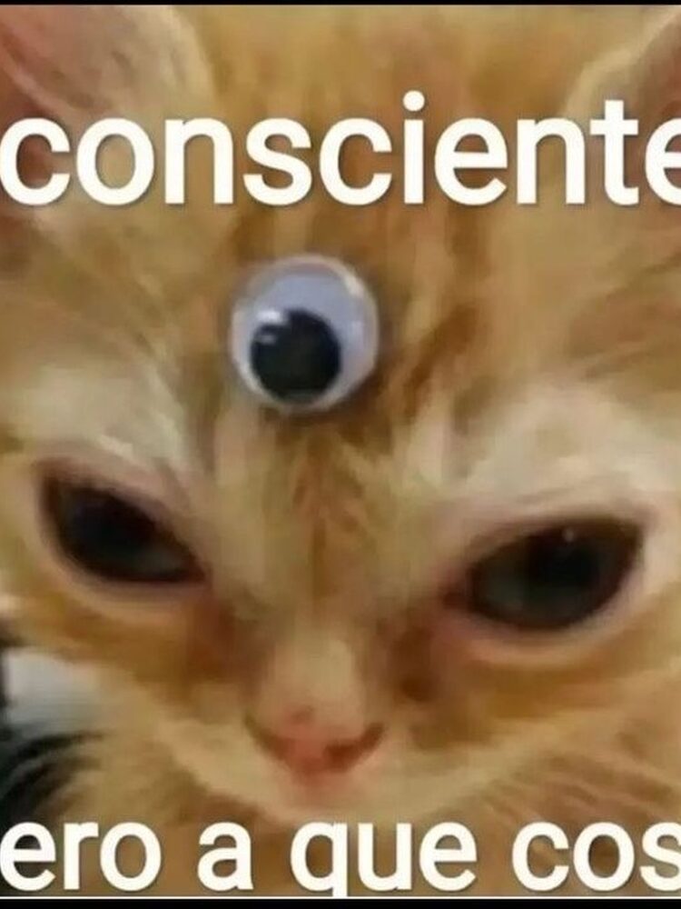 Foto de perfil de Fernando