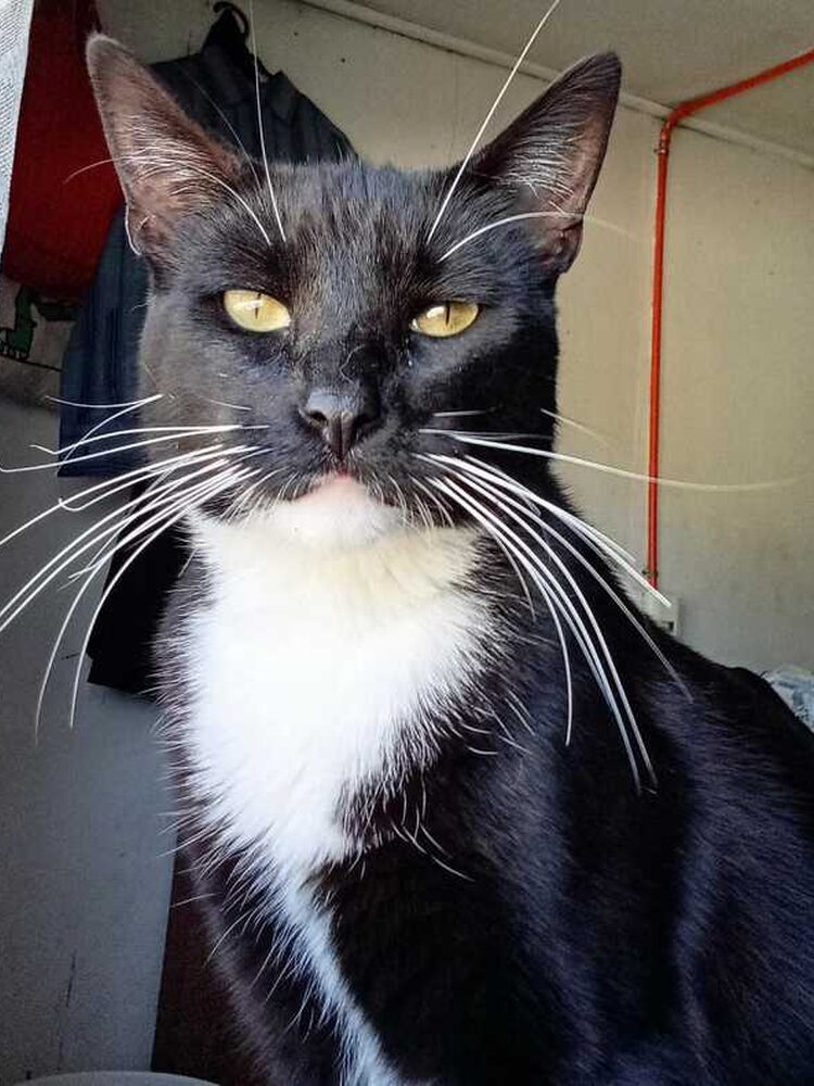 Foto de perfil de Eros