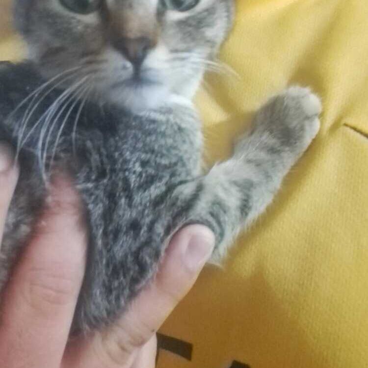 Foto de perfil de André