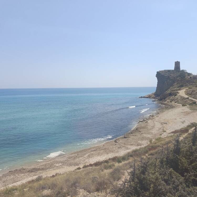 Foto de perfil de Mar