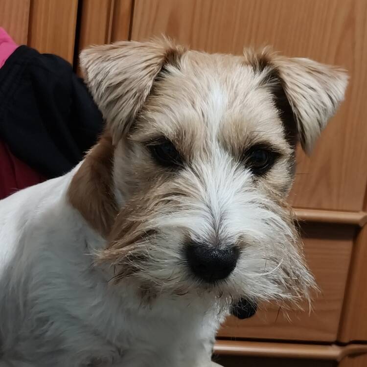 Foto de perfil de Daniel