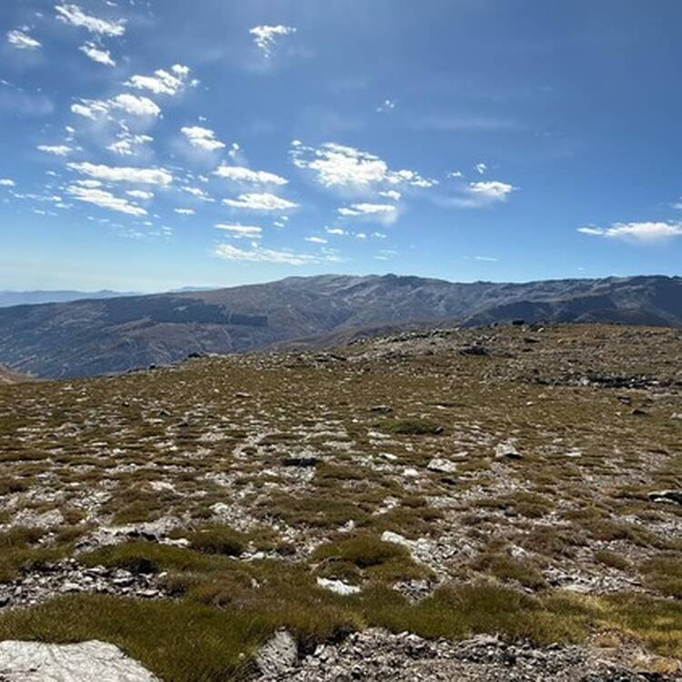 Foto de perfil de Morice