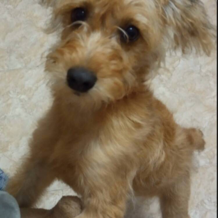 Foto de perfil de L.A.
