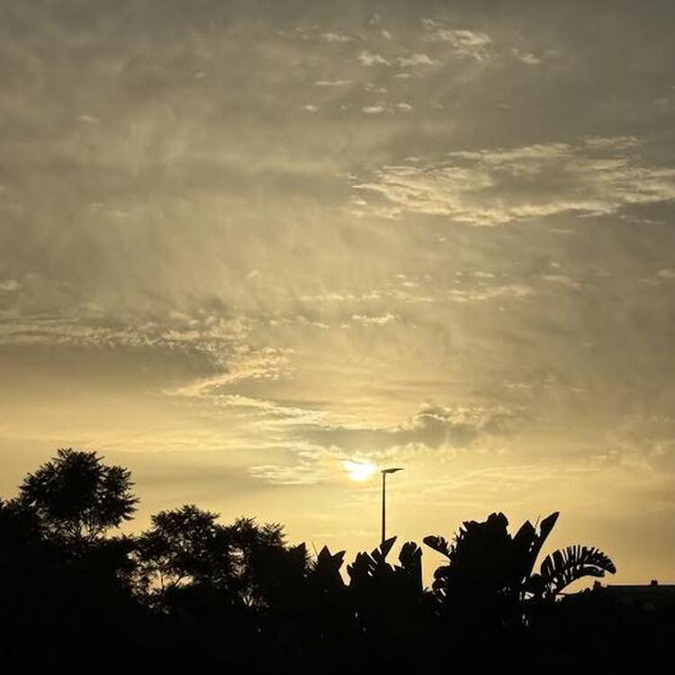 Foto de perfil de pablo
