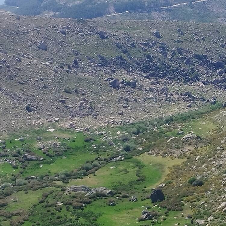 Foto de perfil de Gema
