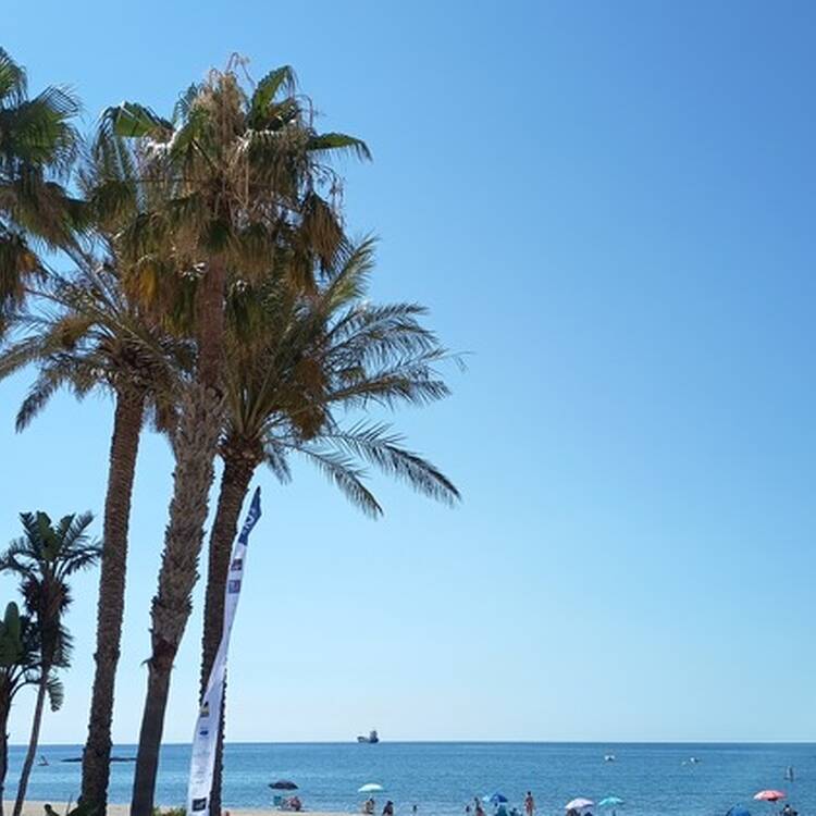 Foto de perfil de Judit