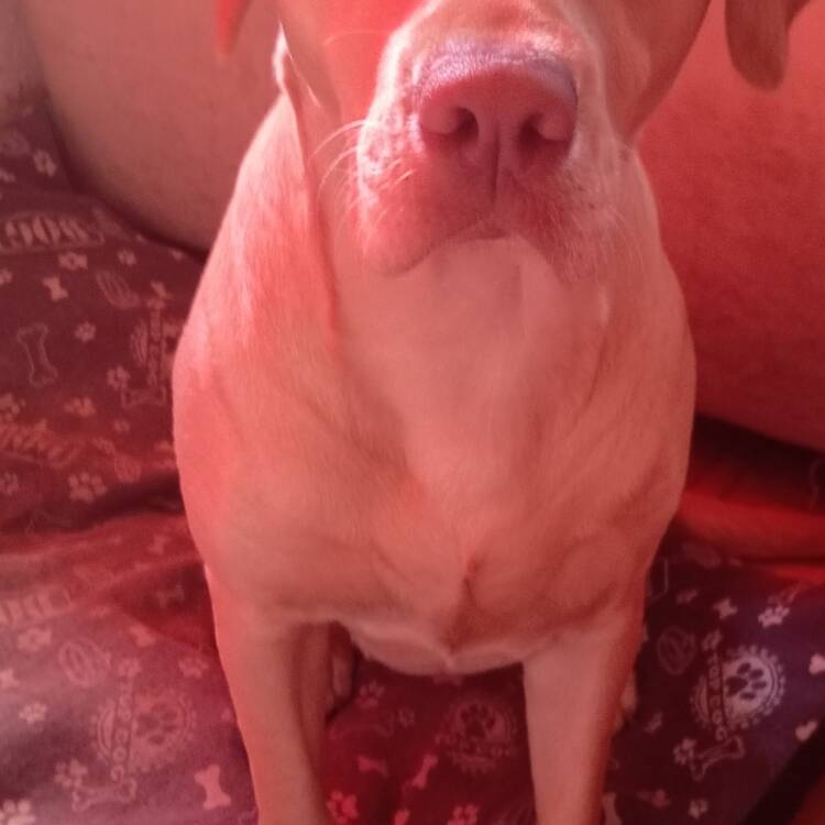 Foto de perfil de Verónica