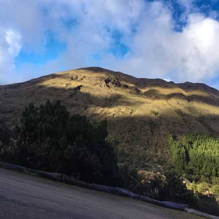 Foto de perfil de Johana