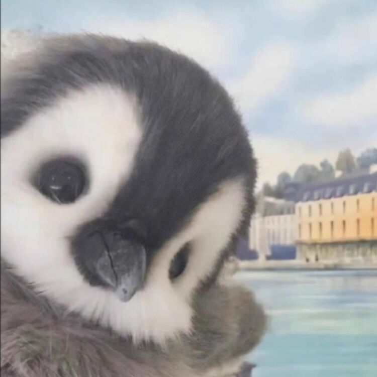 Foto de perfil de F