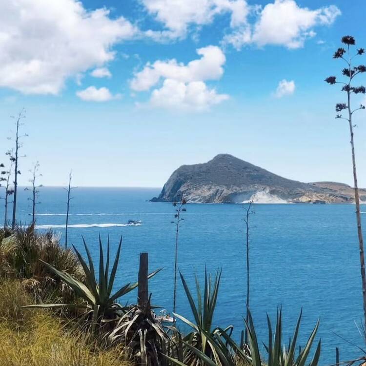 Foto de perfil de María
