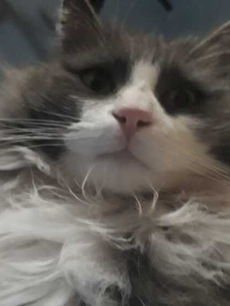 Foto de perfil de tawme