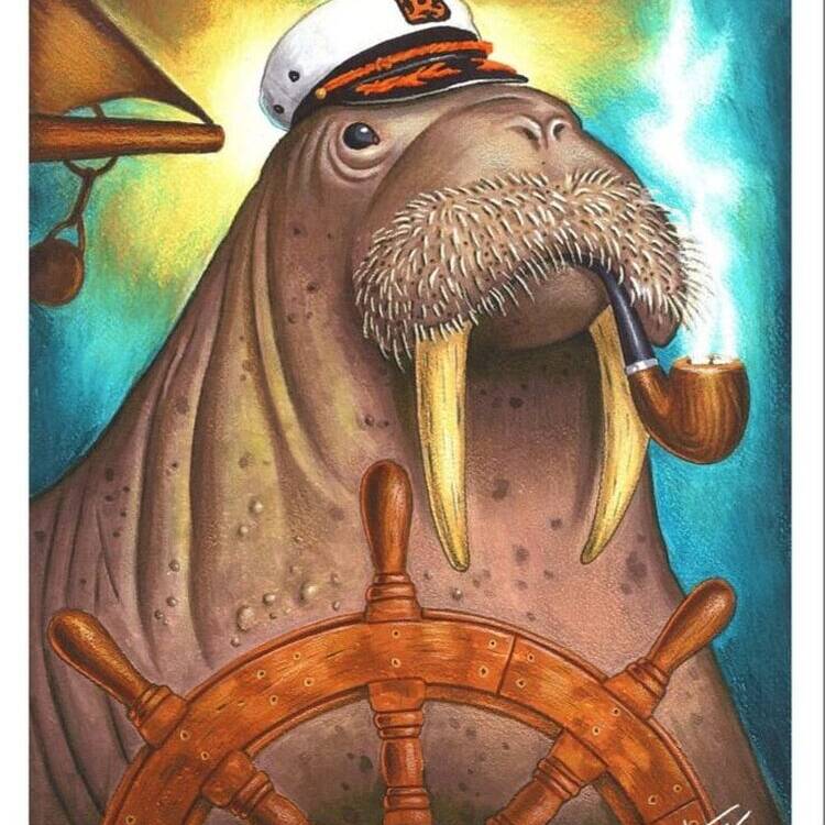 Foto de perfil de Daniel