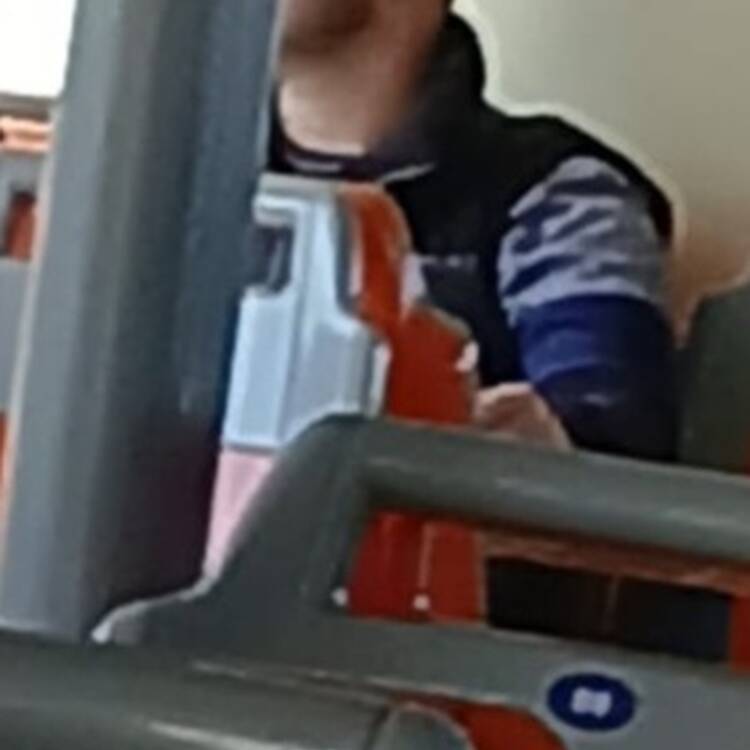 Foto de perfil de Mijel