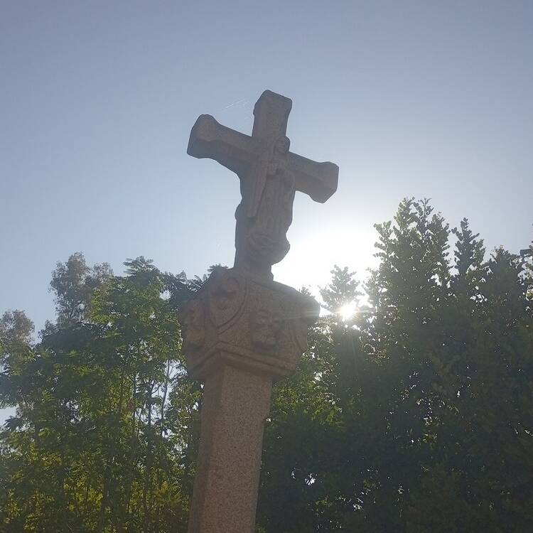 Foto de perfil de Manuel