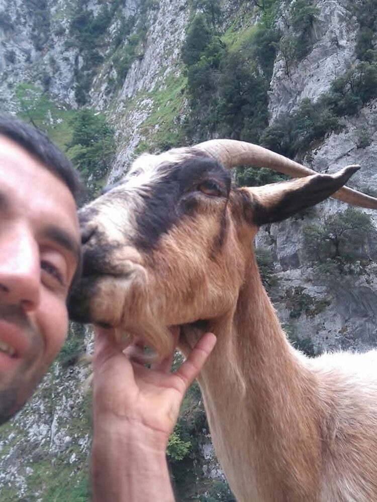 Foto de perfil de Fran