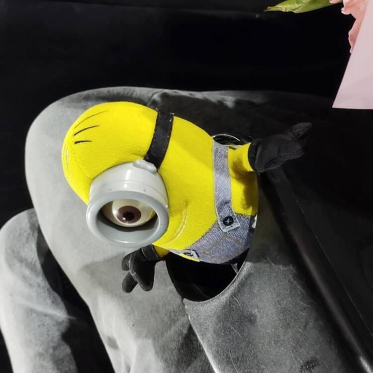 Foto de perfil