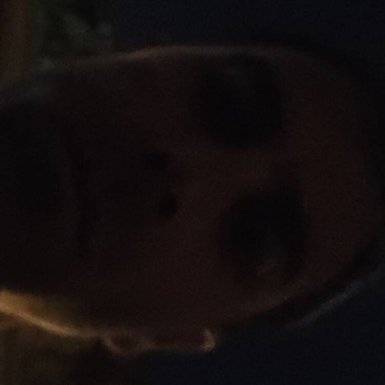 Foto de perfil de davor