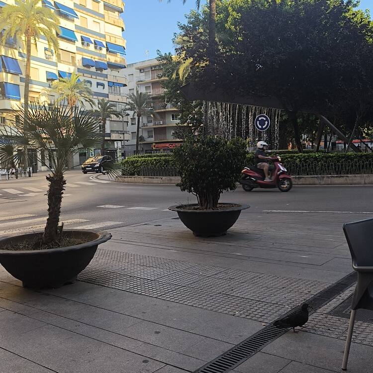 Foto de perfil de Francisco