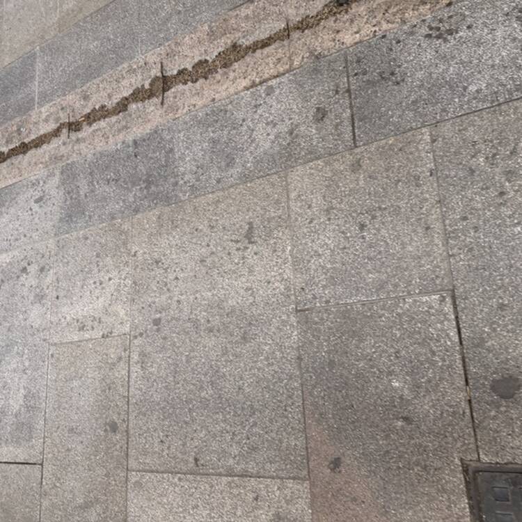 Foto de perfil de Manu